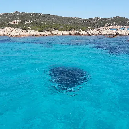 Casa Pineta 아파트 *