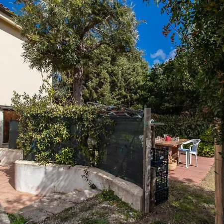 Casa Pineta *
