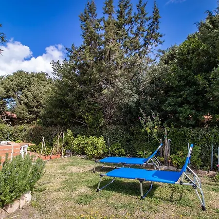 Appartement Casa Pineta